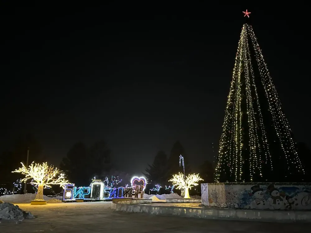 Каждый день активности: «Новогодняя открытка» будет радовать биробиджанцев все праздники