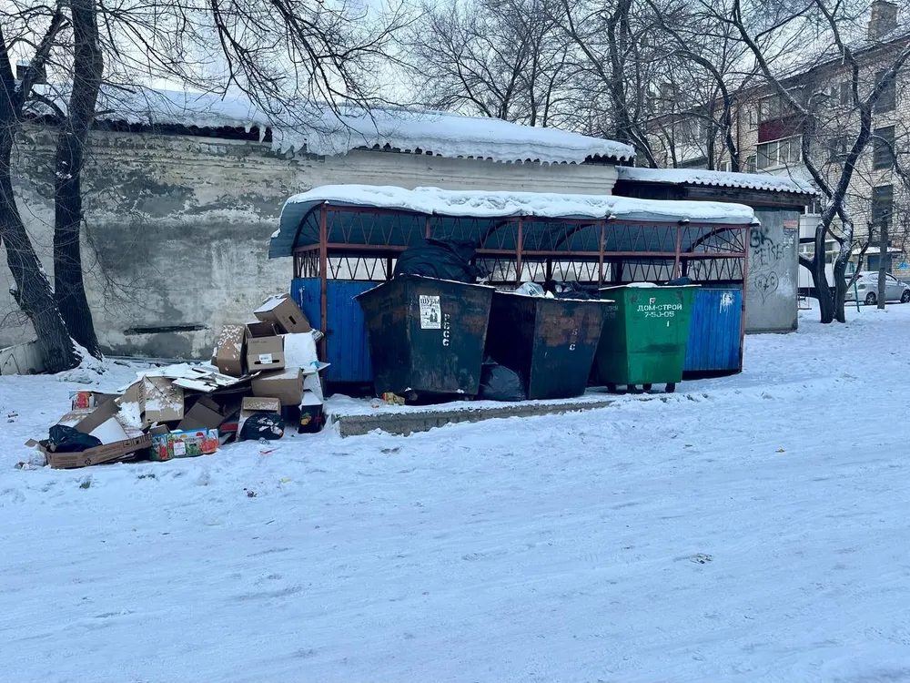 Около 1500 контейнеров для раздельного сбора мусора закупят в ЕАО в 2024 году