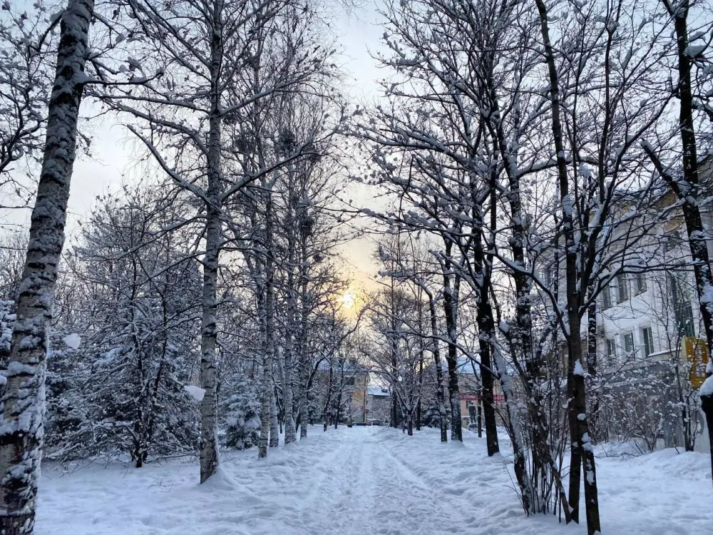 Заметное потепление и умеренный ветер будет в среду в ЕАО