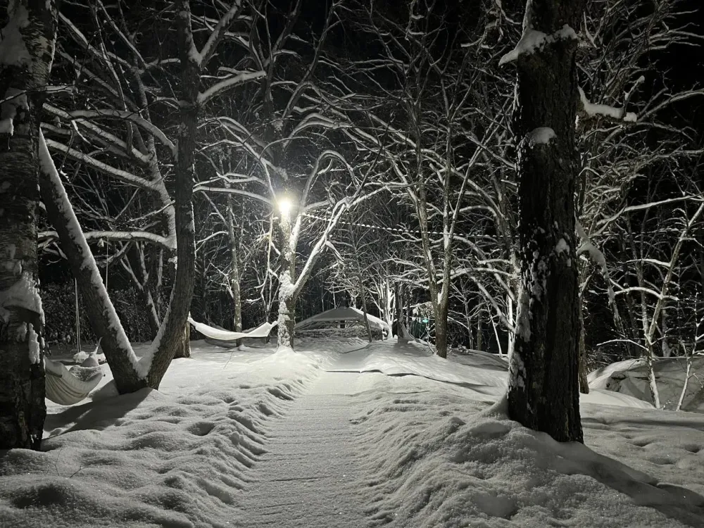 Отличный день для прогулок: ясно и очень тепло будет в субботу в ЕАО