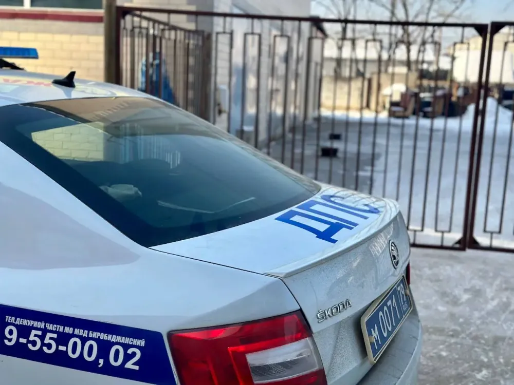 МВД сообщило о продлении на три года истекающих до 2025 года водительских прав