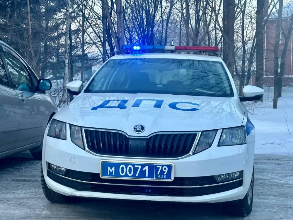 Биробиджанец проведёт семь лет в тюрьме за пьяное ДТП, в котором погиб ребёнок