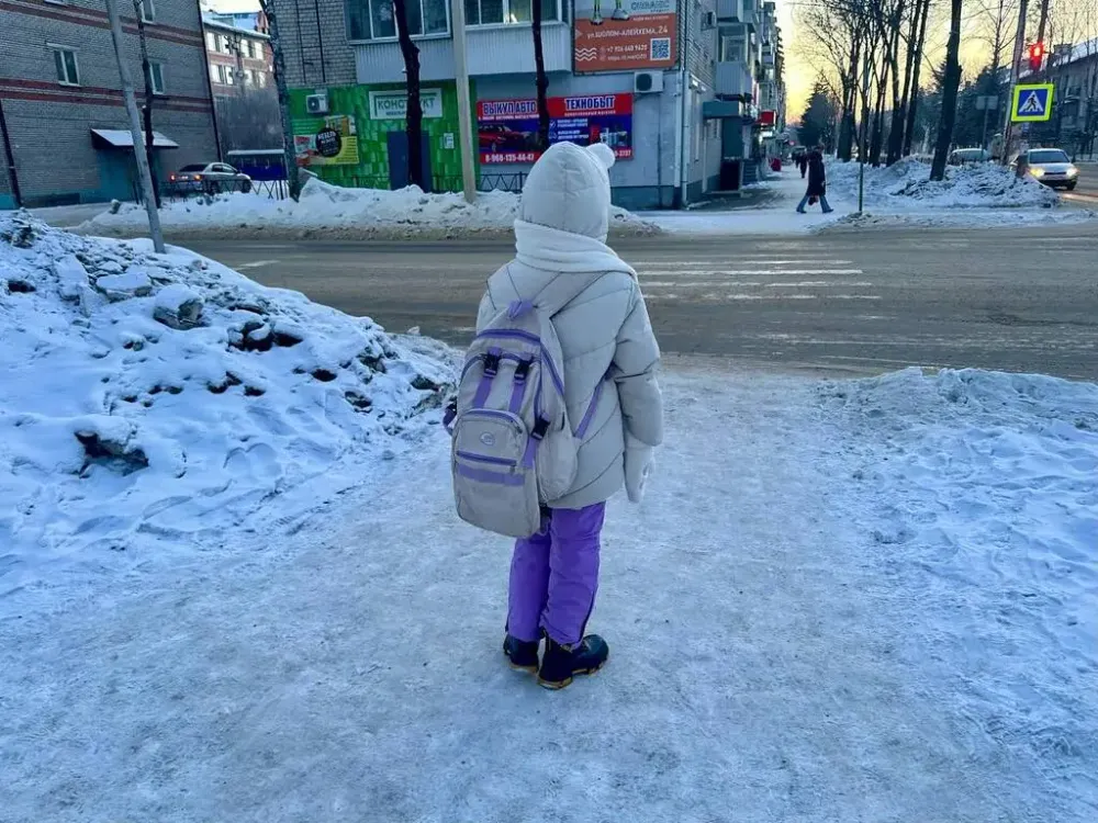 Закрыли на карантин школу в Биробиджане