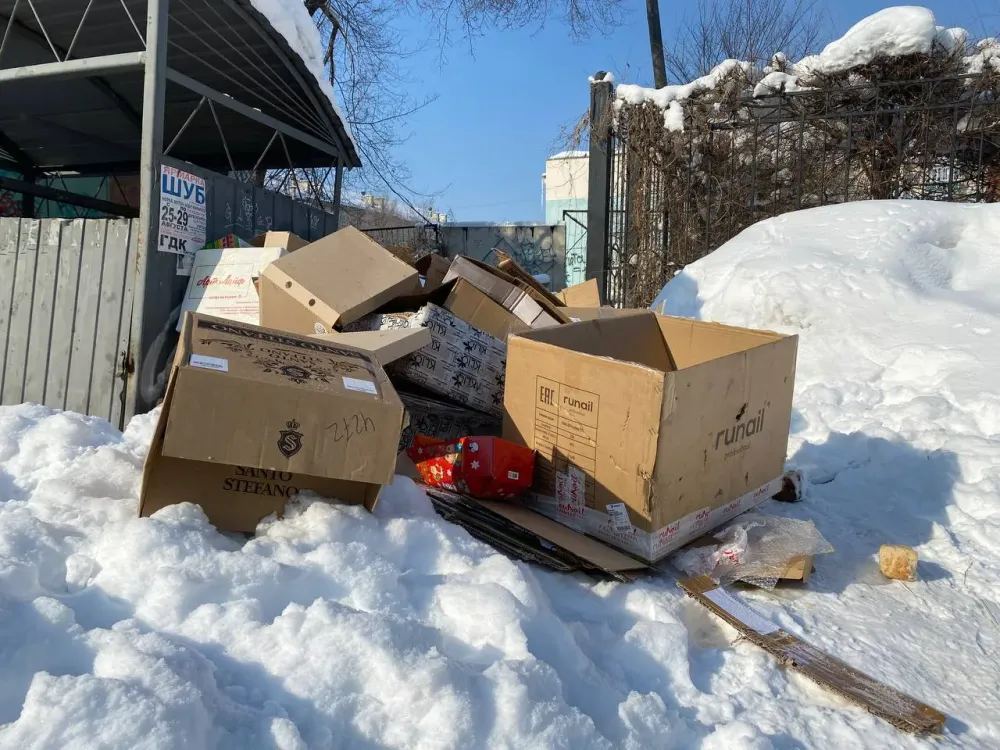 Когда ЕАО перейдет на раздельный сбор мусора, рассказали в правительстве