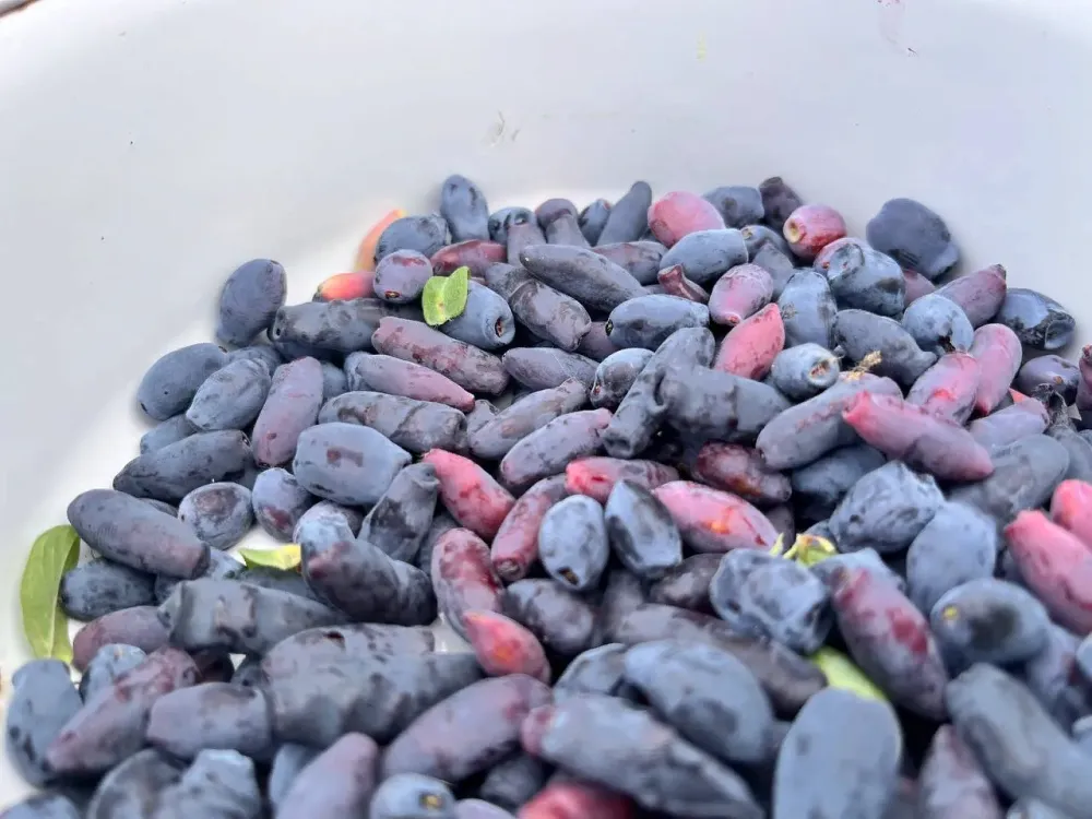 Эксперты Роспотребнадзора ЕАО рассказали о пользе варенья