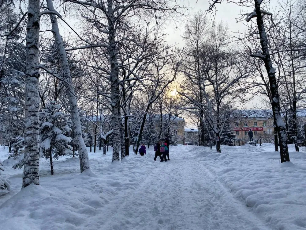 Теплый субботний день прогнозируется в ЕАО