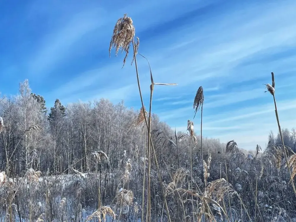 Похолодание в ЕАО прогнозируют синоптики