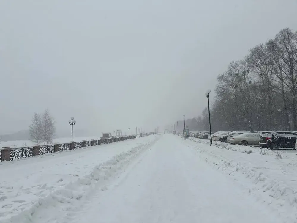 О метели в понедельник предупреждает биробиджанское метеобюро