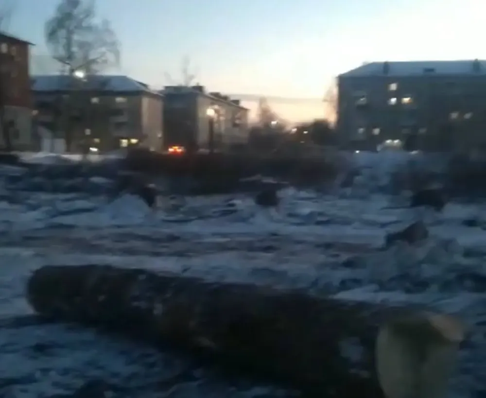 О пресечении «пикников маргиналов» на пустыре в Биробиджане рассказали в мэрии