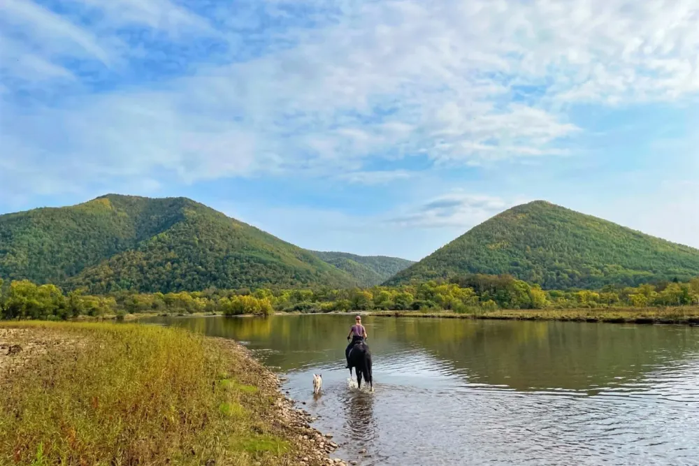 Владелец конного клуба из ЕАО участвует в федеральном проекте «Мастера гостеприимства»