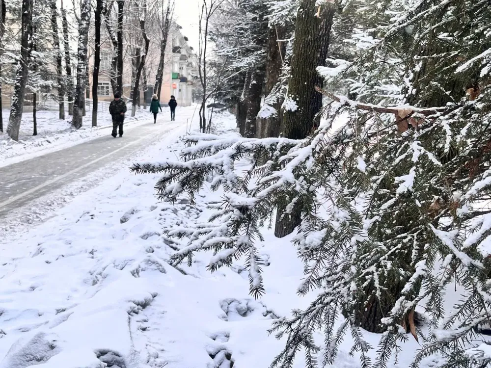 Куда сходить на этой неделе в Биробиджане: Дайджест мероприятий