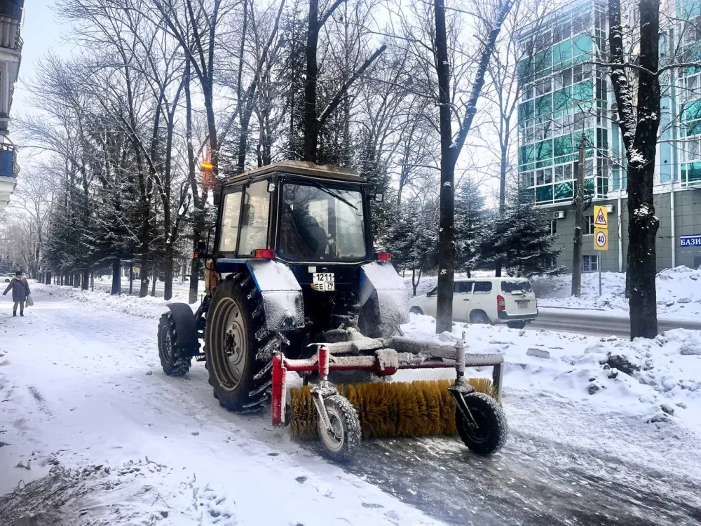 Сильный снег с дождем и ветром ожидается в ЕАО 28 марта