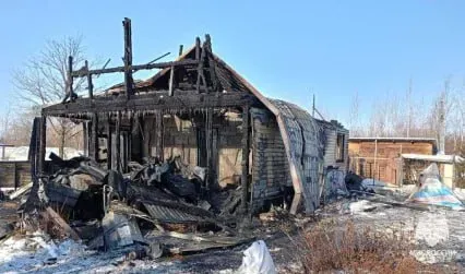 Спас хозяев, а сам погиб в пожаре пес в Биробиджане