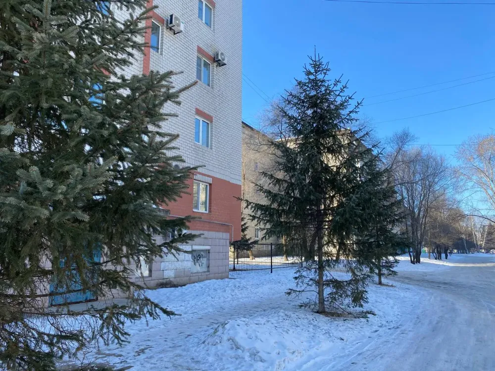 Какая погода будет в праздничный день в ЕАО, рассказали синоптики