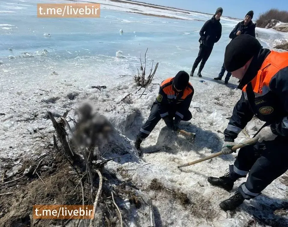 Вмерзший в лед труп мужчины обнаружили на берегу Амура в ЕАО