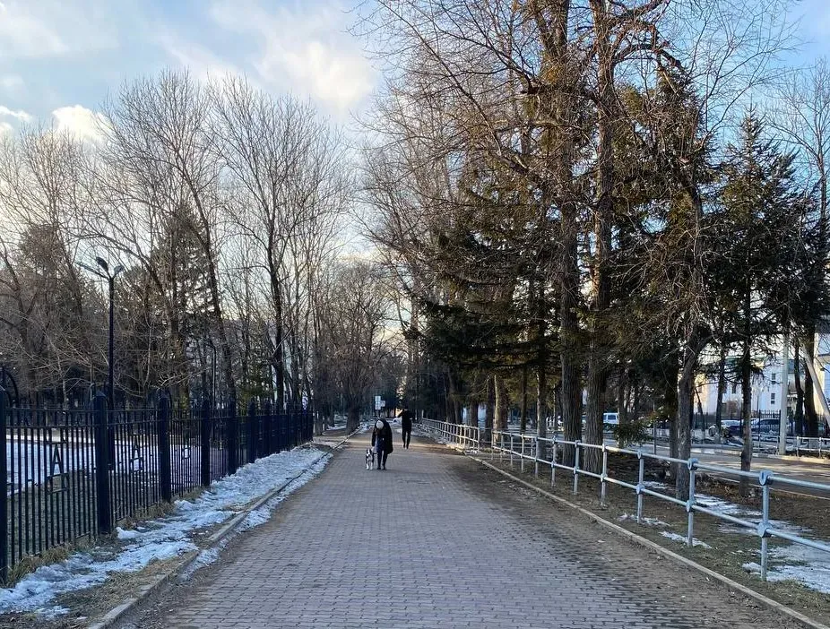 Весеннее тепло окутает ЕАО в четверг