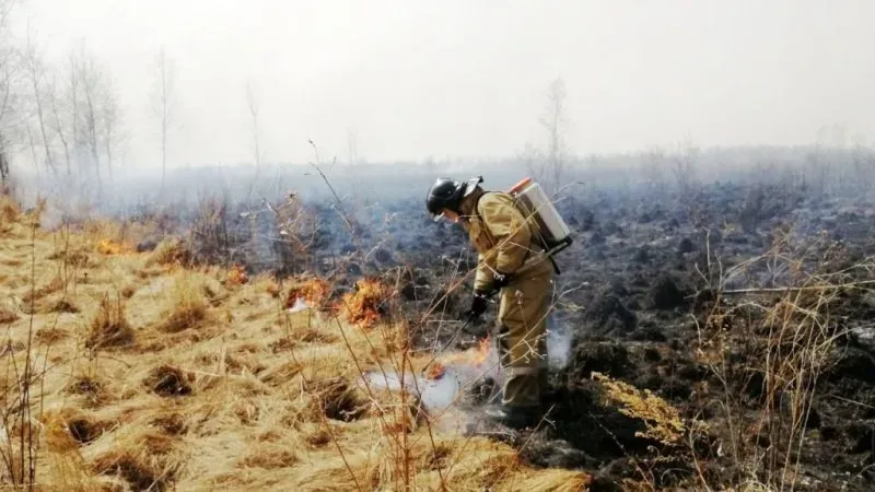 Сезон пожаров начался в ЕАО