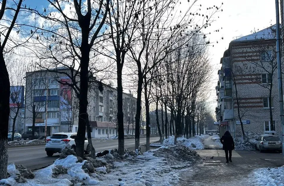 Моральную компенсацию выплатят юной биробиджанке за падение на нечищеном тротуаре