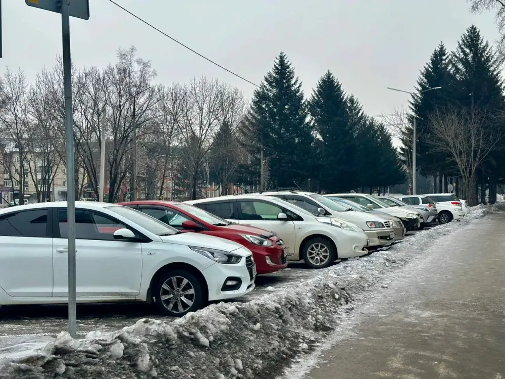 Житель ЕАО наткнулся на мошенников, когда покупал машину в интернете