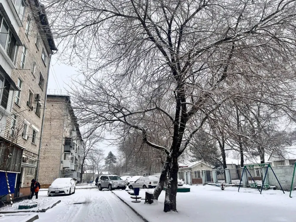 Второй месяц весны начнется со снега в ЕАО: прогноз погоды на 1 апреля
