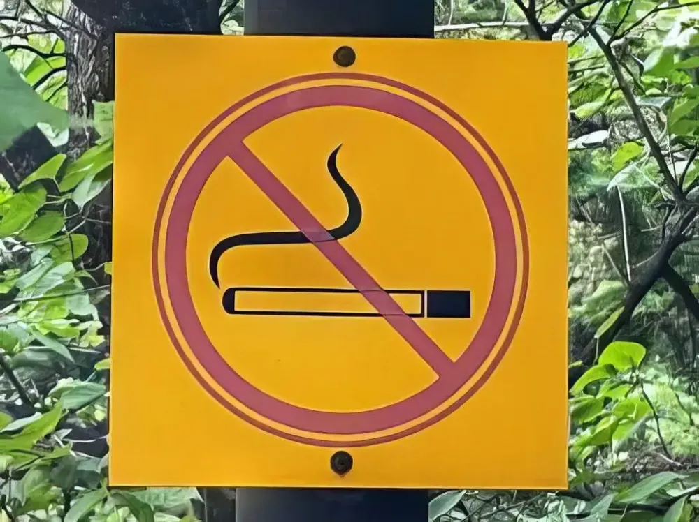 Новые ограничения для пользователей вейпов предлагают ввести в России