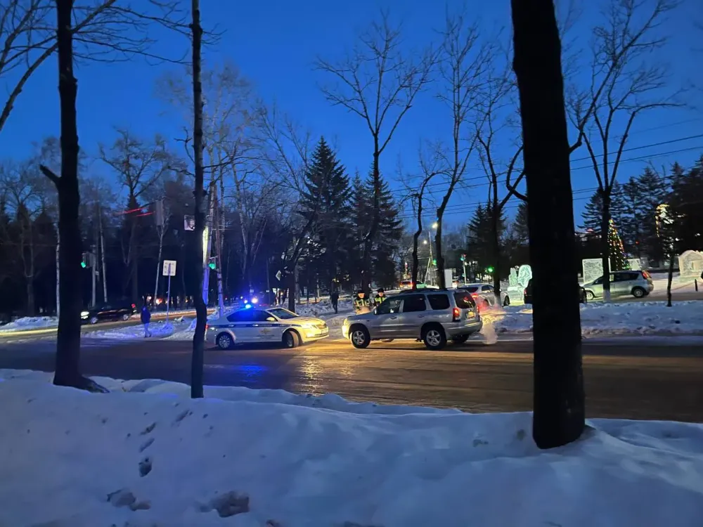 Суд смягчил приговор за помощь детдому водителю, пойманному в ЕАО с липовыми правами