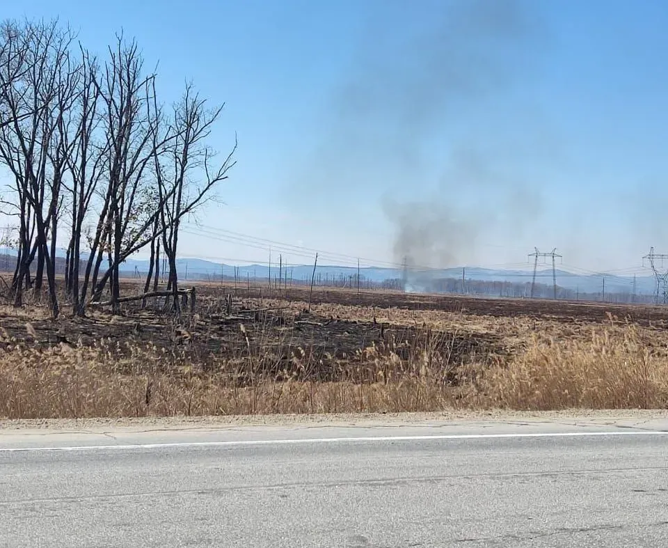 Режим чрезвычайной ситуации в лесах действует на территории ЕАО