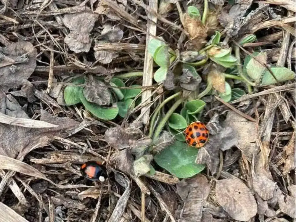 Чем заняться на майских — дайджест мероприятий на выходные