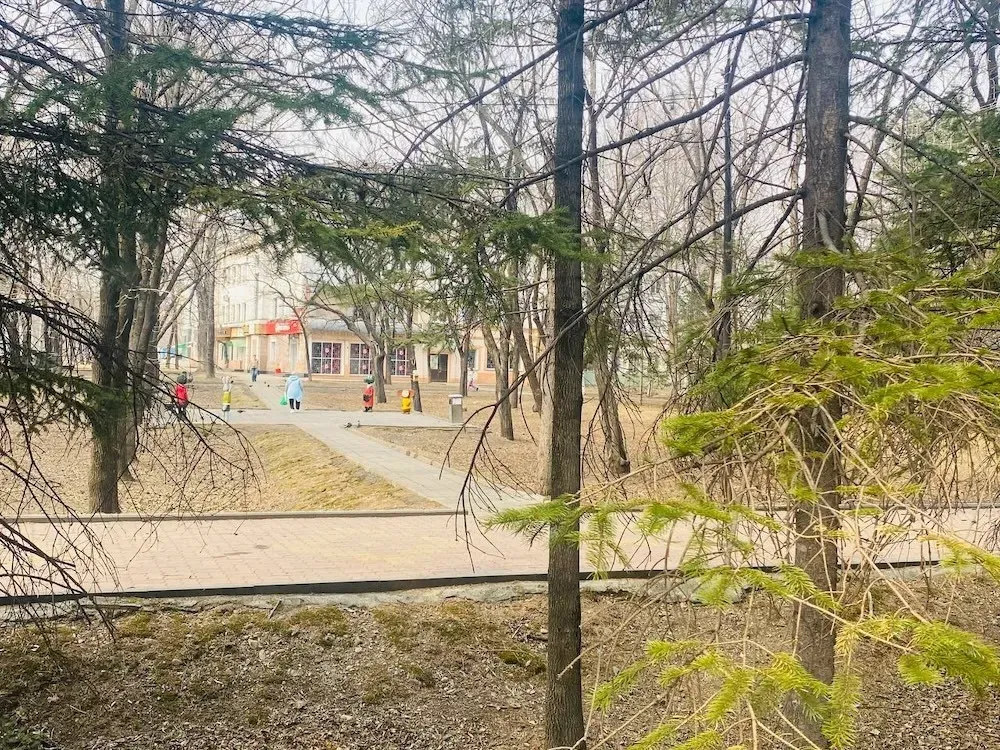 Режим ЧС, цены на жилье и куда пойдут служить призывники – дайджест событий недели в ЕАО