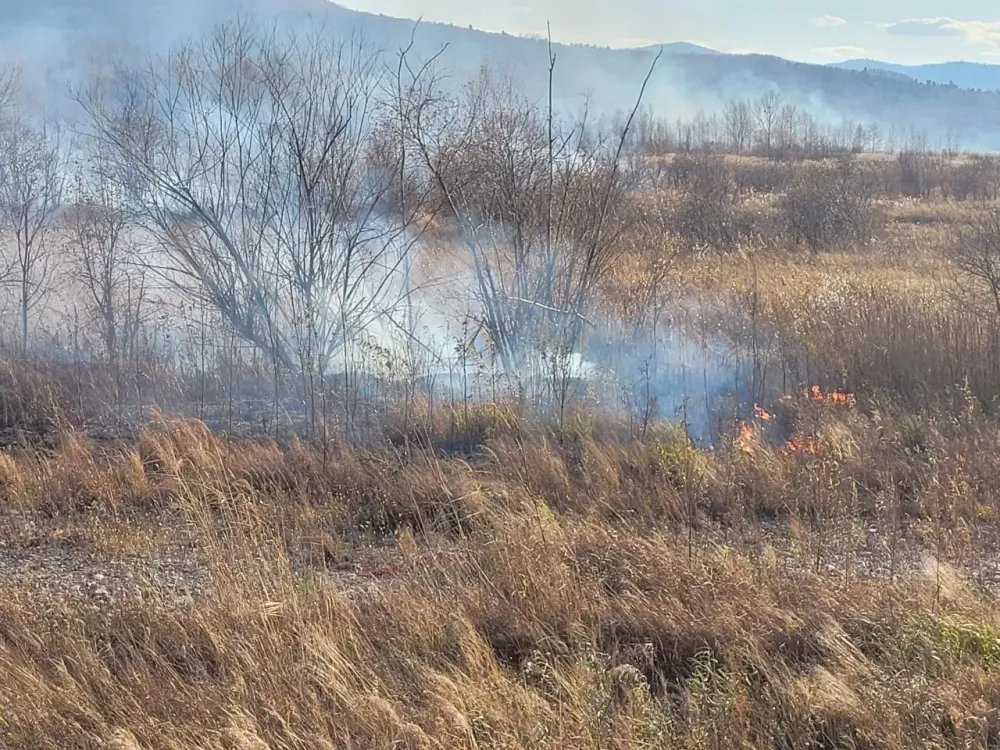 Пожароопасная ситуация в ЕАО осложняется с каждым днем — департамент управления лесами
