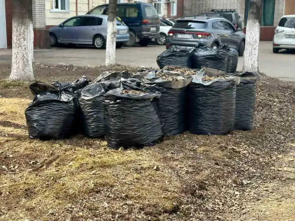 Во всероссийском субботнике могут принять участие жители ЕАО