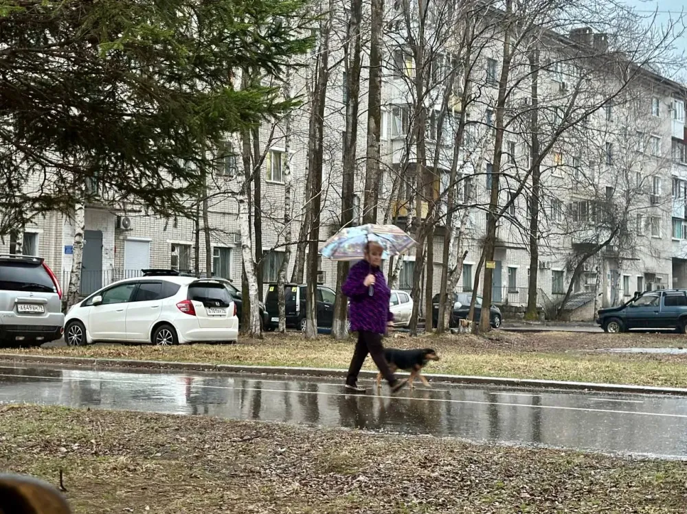 Умеренный ветер и небольшой дождь будет в четверг в ЕАО