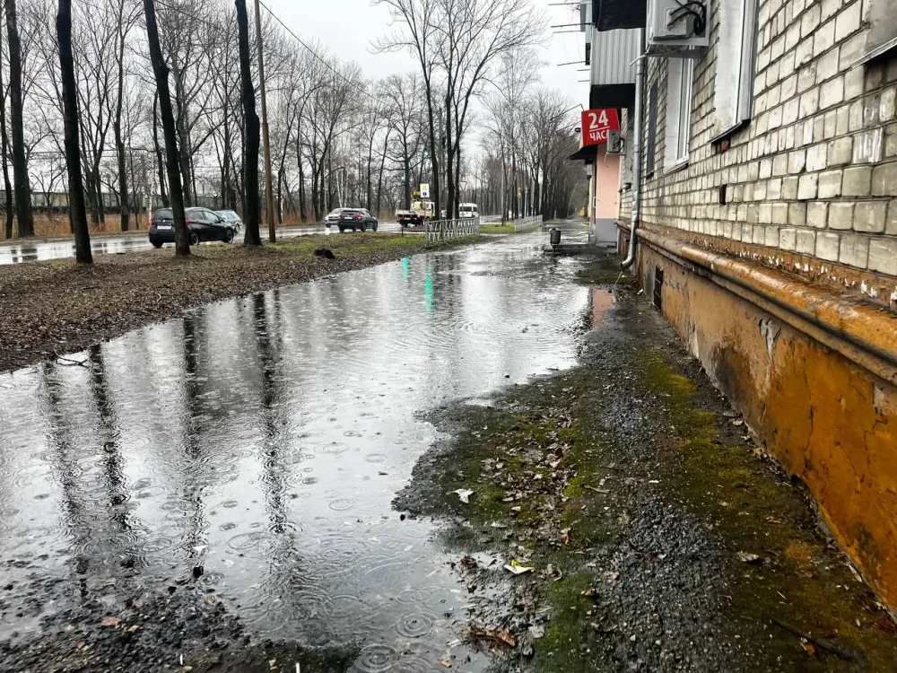 На весь день перекроют одну из центральных улиц Биробиджана