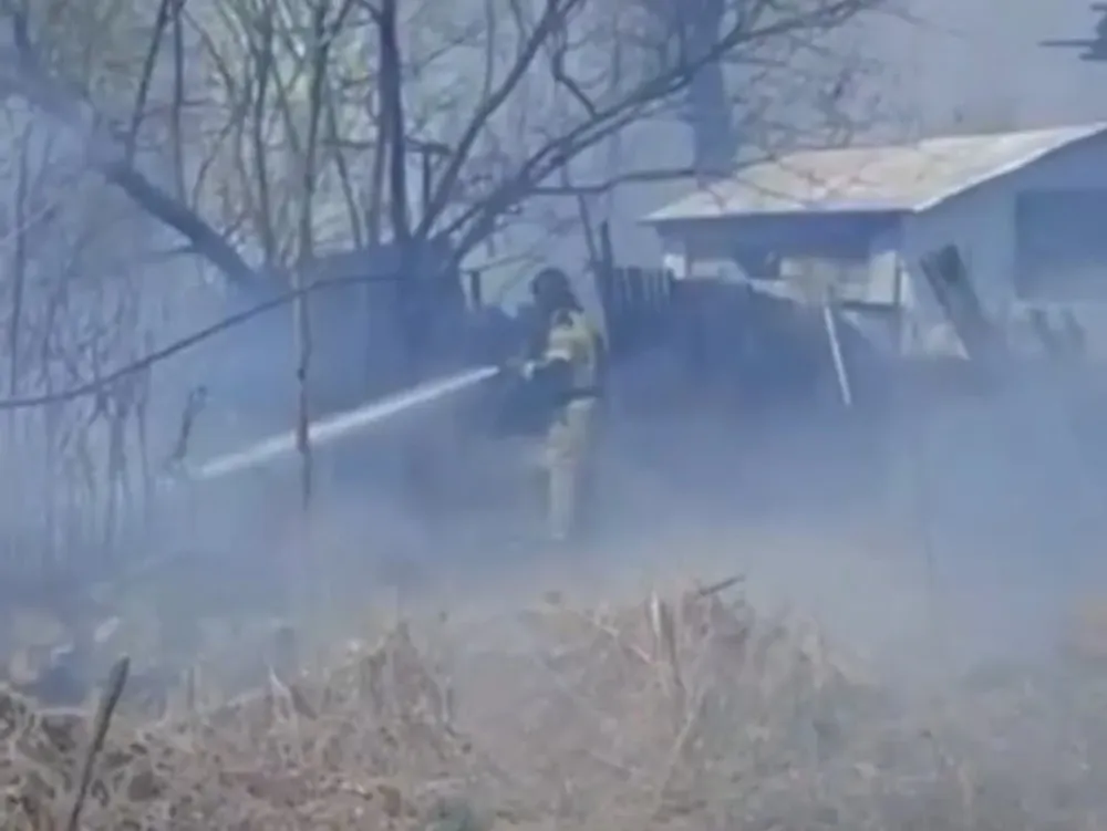 Собаку от травяного пала спасли пожарные в ЕАО