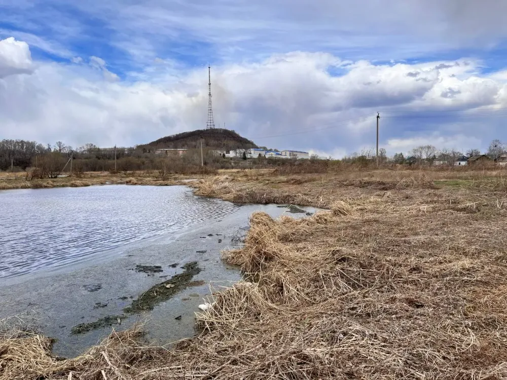 Поджигатели продолжают создавать пожароопасную обстановку в ЕАО