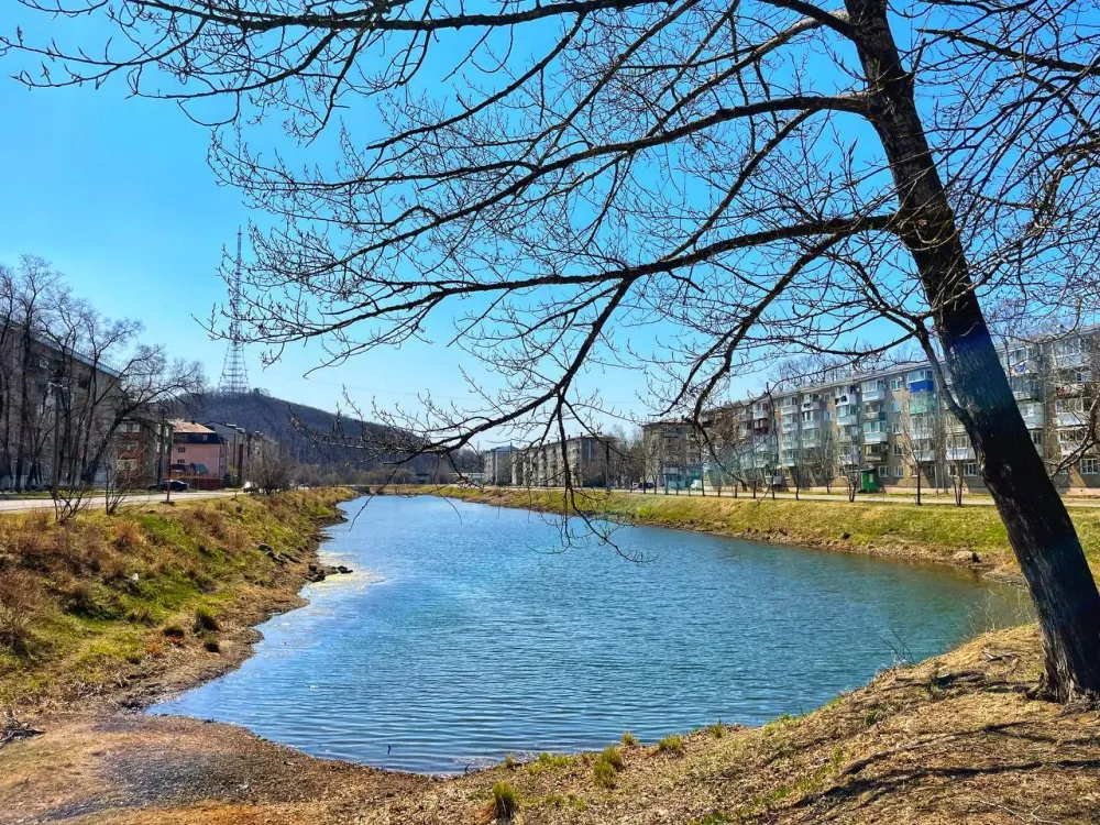 Сильный ветер и облачность будет в четверг в ЕАО