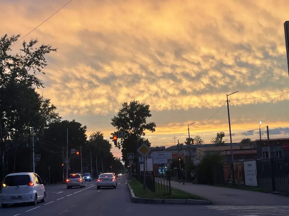 Лето придет с теплом в ЕАО: погода на 1 июня