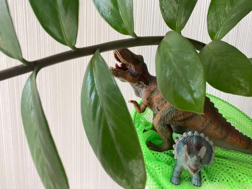 Новый парк развлечений появится в Хабаровске