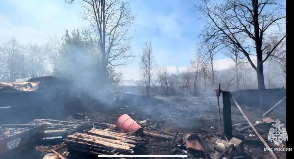 Погибла собака при пожаре в Биробиджане