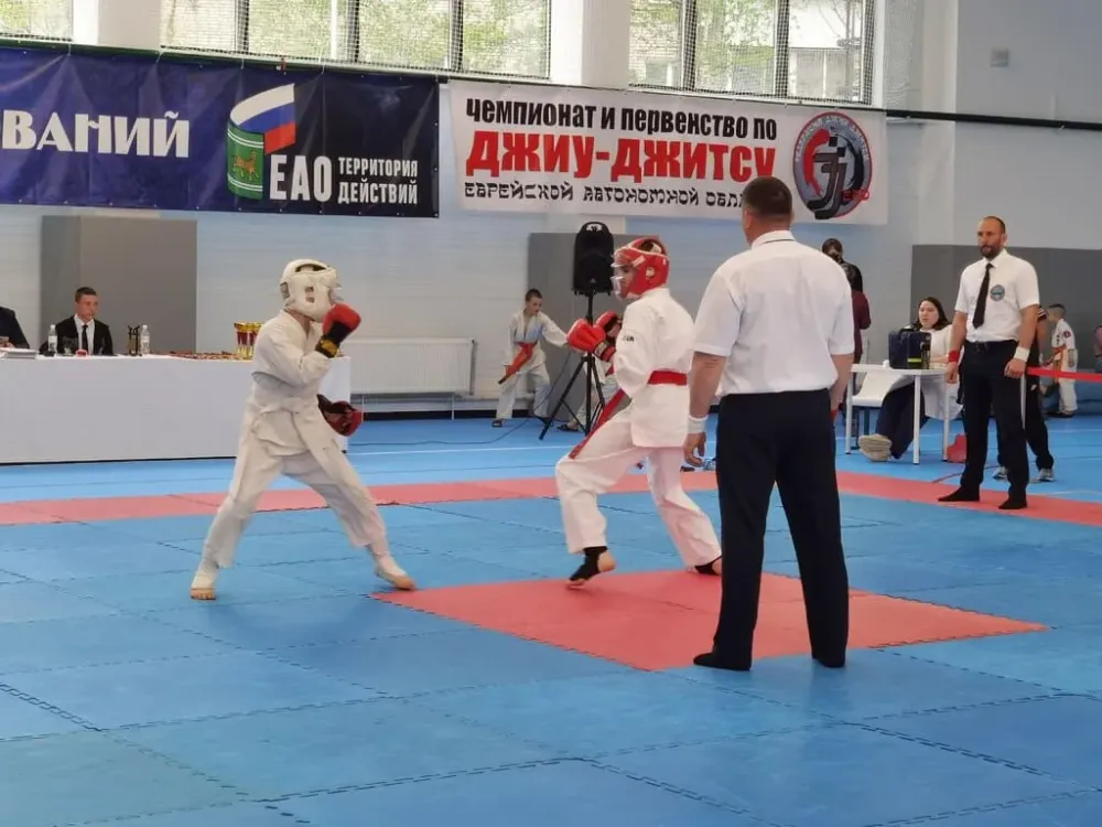 Около 180 спортсменов приняли участие в чемпионате по джиу-джитсу в ЕАО