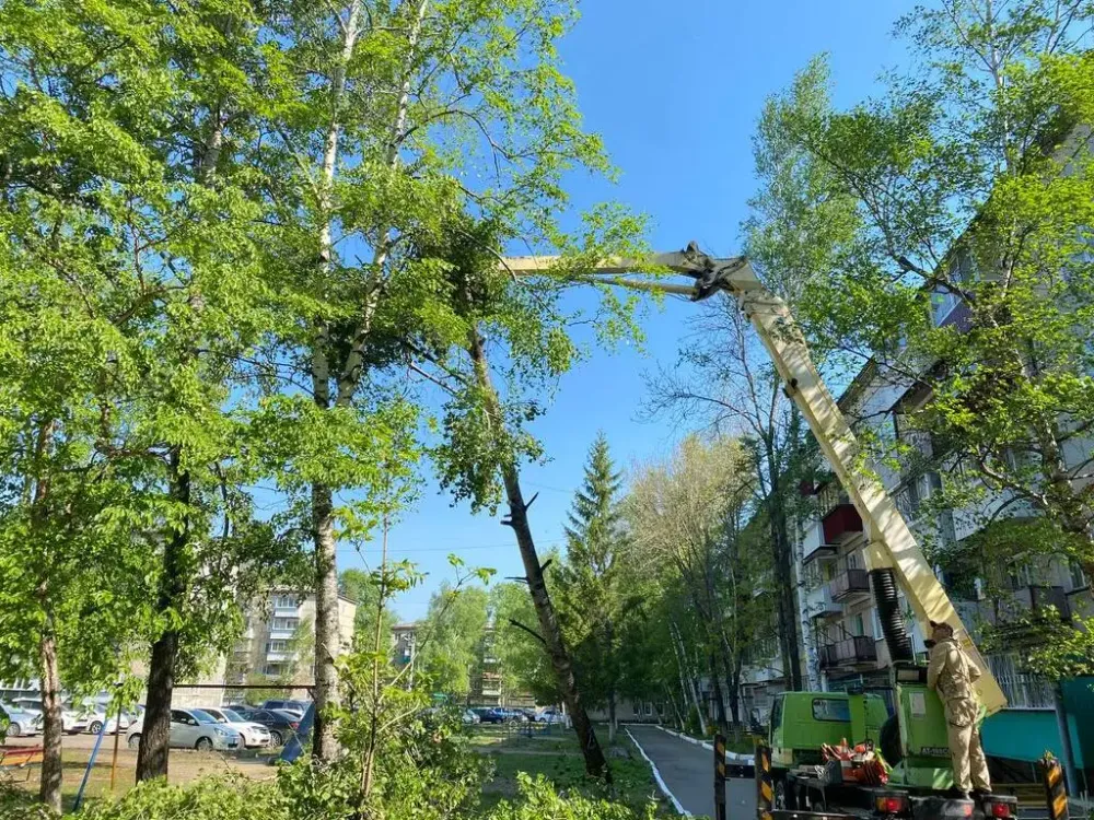 Более 30-ти обрывов проводов из-за сильного ветра ликвидируют энергетики ЕАО