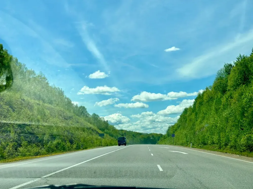 Сильные порывы ветра будут в некоторых районах ЕАО: прогноз погоды на понедельник