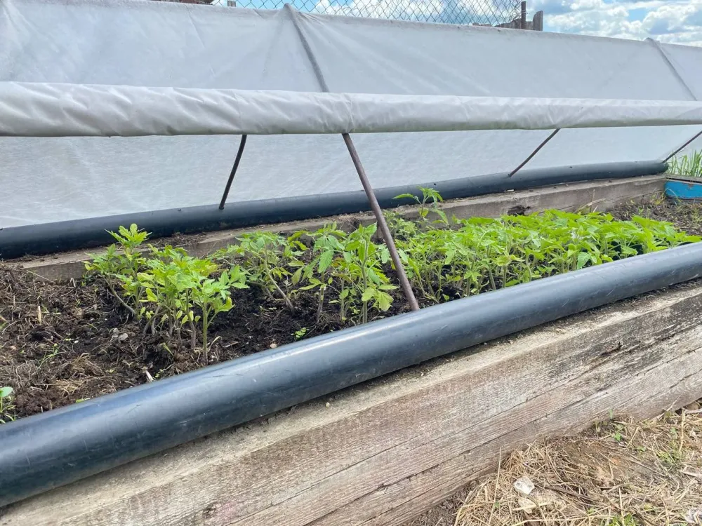 Разорили землю на 50 млн рублей золотодобытчики в ЕАО