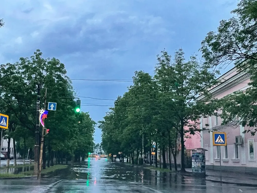 Сильный дождь и гроза будет в пятницу в ЕАО
