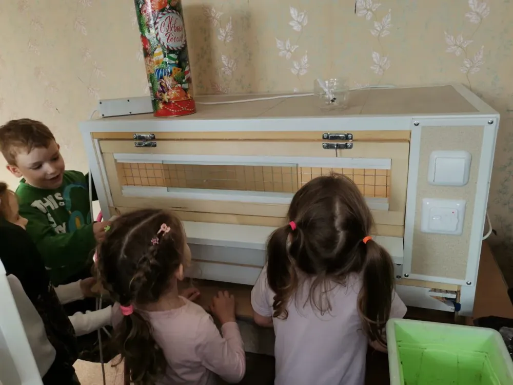 Ухаживают за птенцами и выращивают овощи ребята из Детского дома №2 в Биробиджане