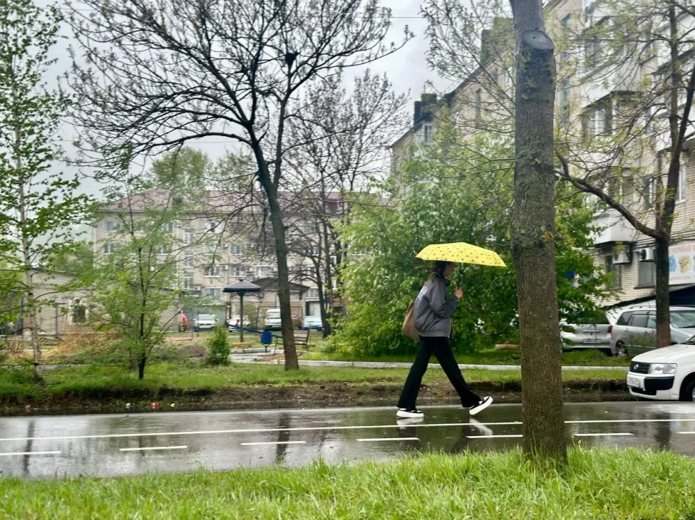 Дождливый понедельник ждет жителей ЕАО: прогноз погоды на 10 июня