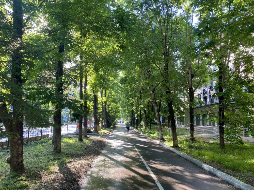 Ясная погода, но местами грозы будут в ЕАО в четверг