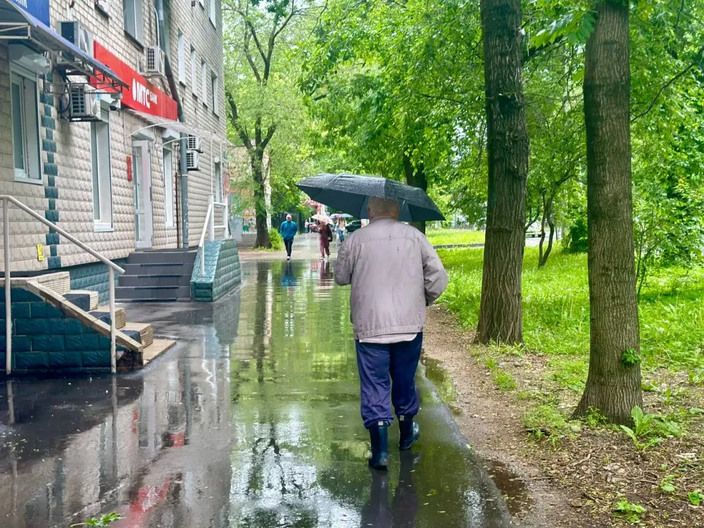 Дождливый понедельник обещают синоптики: прогноз погоды на 17 июня