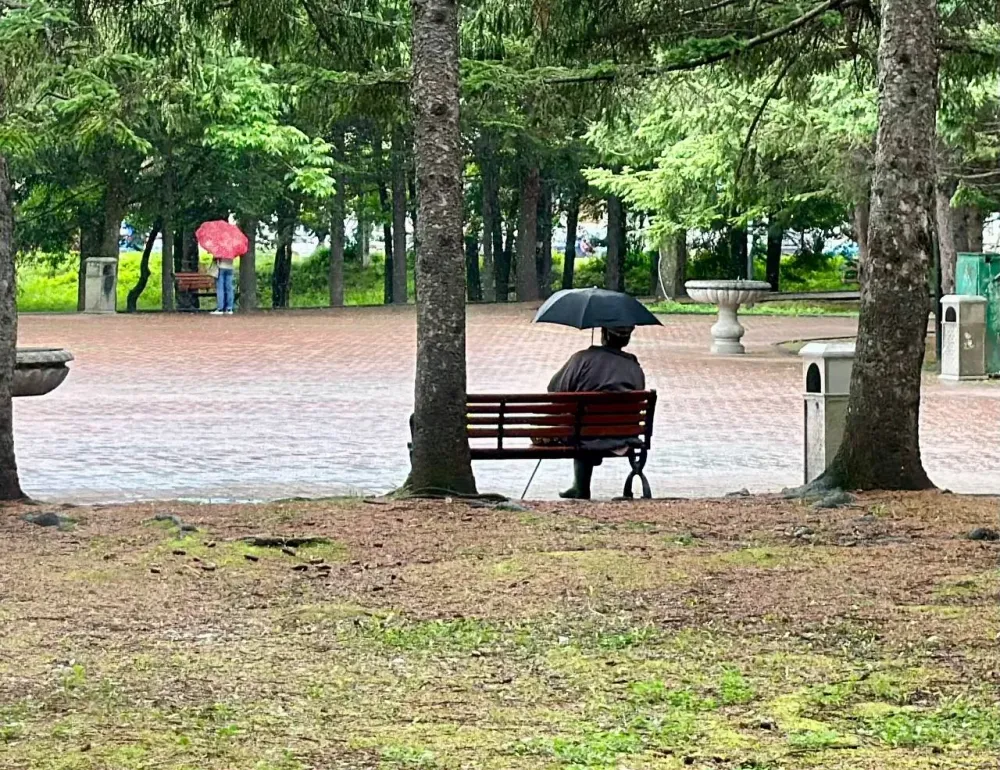 Осень в июне не отступит: Дождь и холод будут во вторник в ЕАО