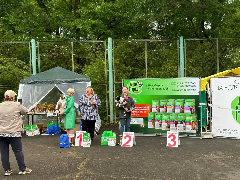 Выставка собак прошла в Биробиджане